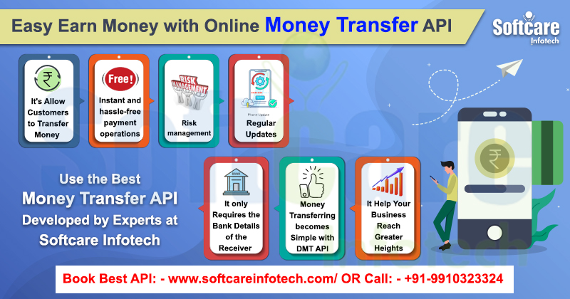 Earn Money with Online Money Transfer API